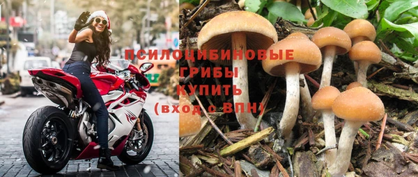 дурь Абдулино