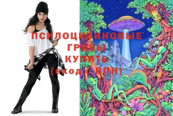 дурь Абдулино