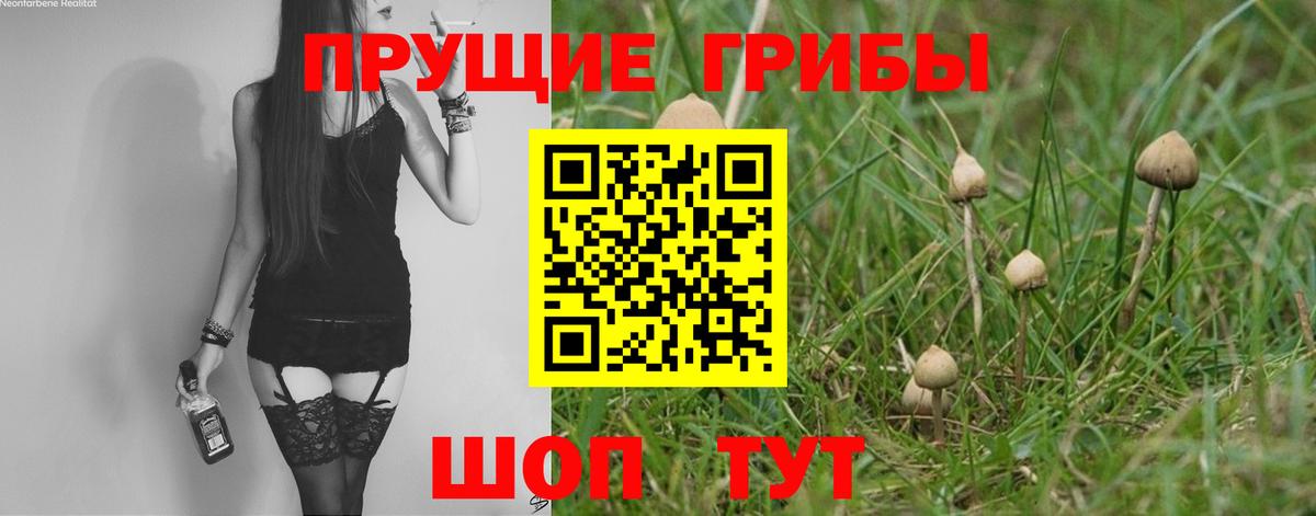 Псилоцибиновые грибы мицелий  Галлюциногенные грибы Psilocybine cubensis  Вход с VPN  Якутск 